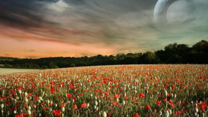 2025年,Gitea 和 GitLab 应当如何选择?